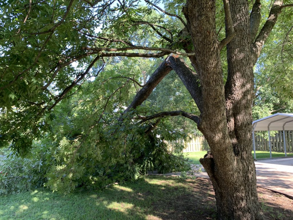 You can't really see the gate but...