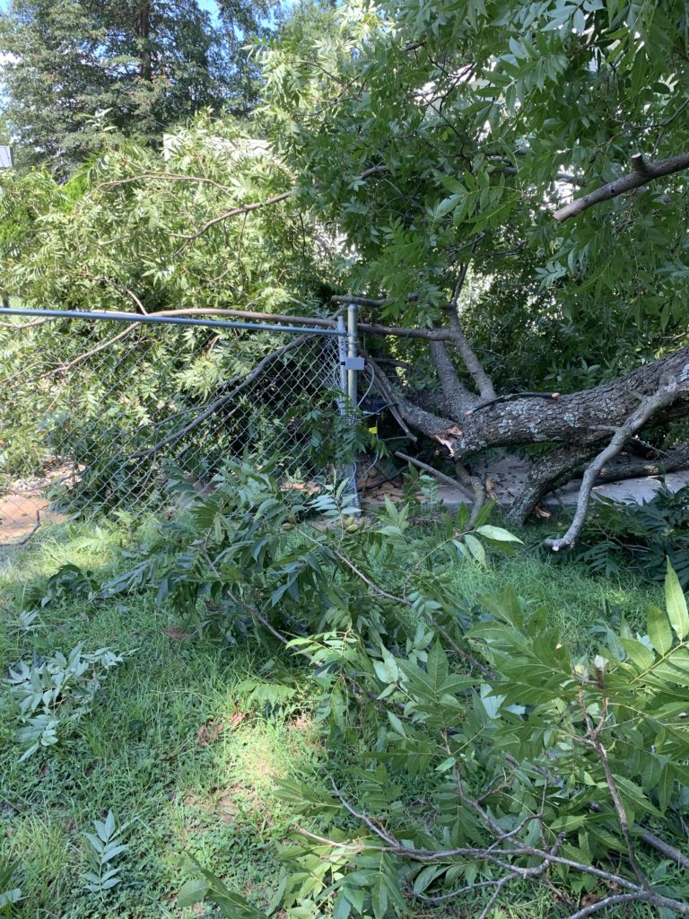 Finally, I can see the gate.