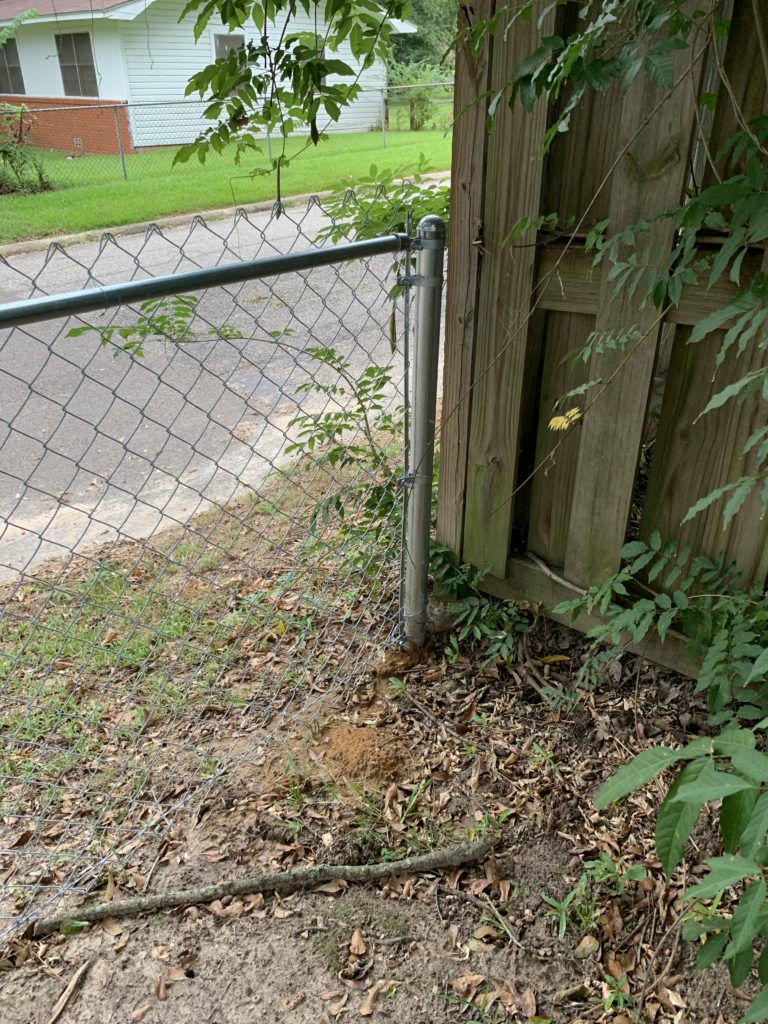 Fence post is too short.
